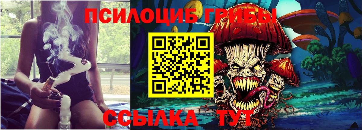 Галлюциногенные грибы прущие грибы  Псилоцибиновые грибы Psilocybine cubensis  Вход с VPN  Миллерово 