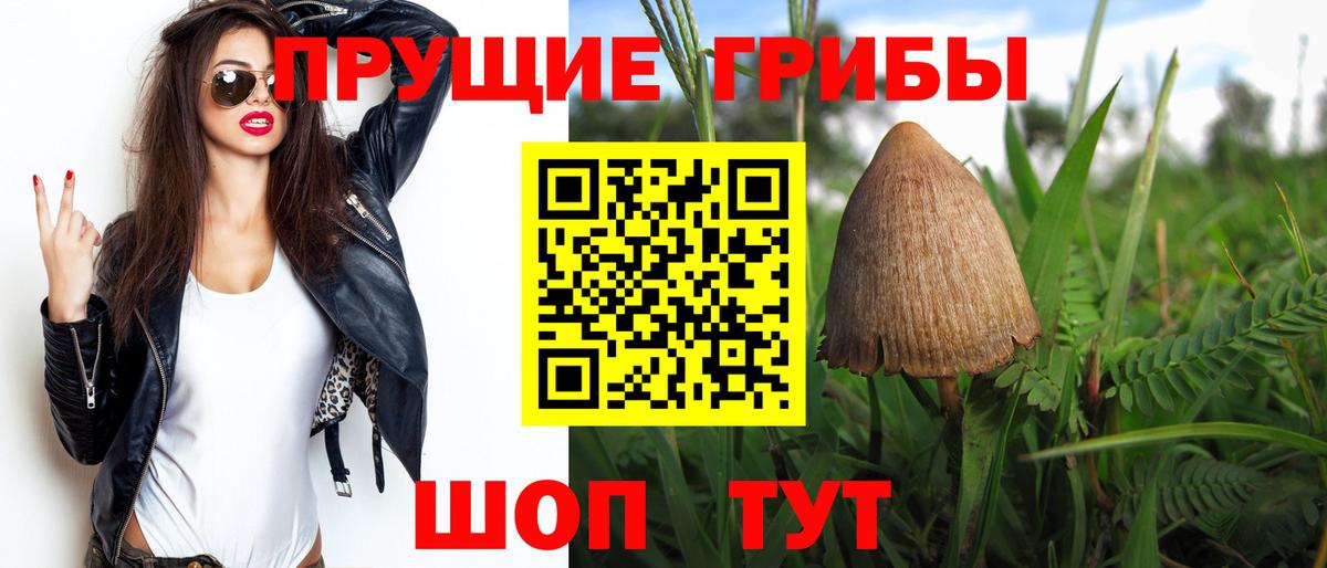 Псилоцибиновые грибы Psilocybe Миллерово